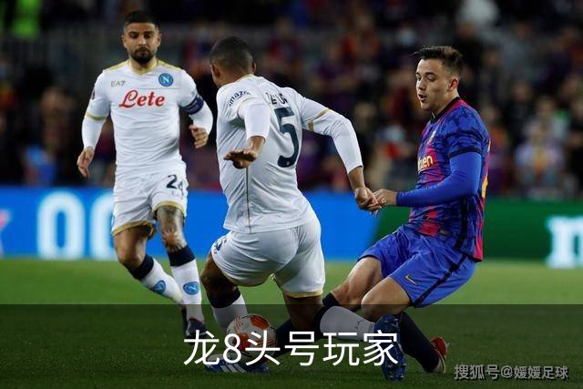 龙8头号玩家公司简介